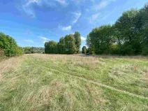 Dražba louky, Všenory, 601 m2