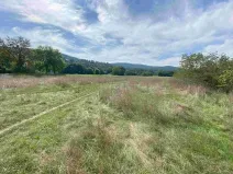 Dražba louky, Všenory, 601 m2