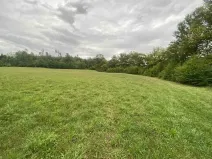 Dražba louky, Potštejn, 950 m2