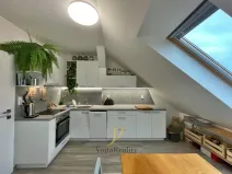 Pronájem bytu 1+1, Olomouc, Bořivojova, 50 m2