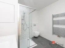 Pronájem bytu 1+kk, Plzeň - Jižní Předměstí, Železná, 33 m2