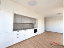Pronájem bytu 2+kk, Plzeň - Bolevec, Krašovská, 52 m2