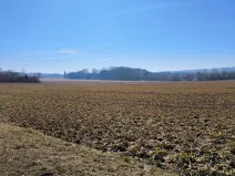 Prodej louky, Krahulčí, 116147 m2