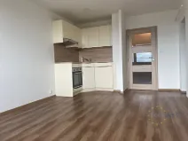 Pronájem bytu 1+kk, Praha - Chodov, Nad Opatovem, 31 m2