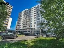 Prodej bytu 2+kk, Příbram - Příbram VIII, Čechovská, 44 m2