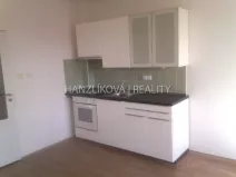 Pronájem bytu 1+kk, České Budějovice - České Budějovice 3, Fráni Šrámka, 30 m2