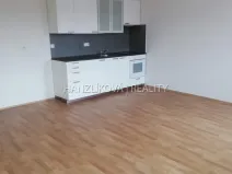 Pronájem bytu 1+kk, České Budějovice - České Budějovice 3, Fráni Šrámka, 30 m2