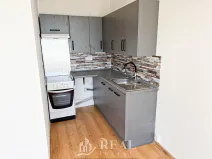 Pronájem bytu 1+kk, Chomutov, Kundratická, 25 m2