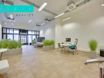 Pronájem obchodního prostoru, Olomouc, Horní náměstí, 300 m2