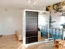Pronájem bytu 1+1, Znojmo, Přímětická, 30 m2