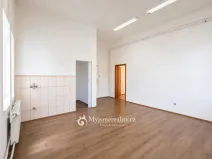 Pronájem ordinace, Znojmo, Kotkova, 46 m2