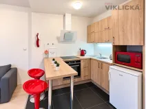 Pronájem bytu 1+kk, Brno - Starý Lískovec, U Leskavy, 33 m2