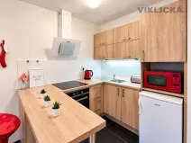 Pronájem bytu 1+kk, Brno - Starý Lískovec, U Leskavy, 33 m2