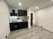 Pronájem bytu 1+kk, Ostrava, Čujkovova, 33 m2