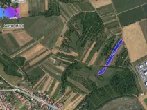 Prodej pole, Dambořice, 4046 m2