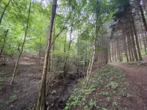 Prodej louky, Strážná, 2049 m2