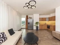 Prodej bytu 2+kk, Plzeň, U Velkého rybníka, 81 m2