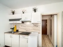 Prodej bytu 1+kk, Praha, Štúrova, 20 m2