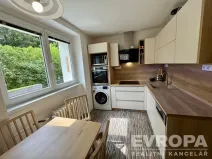 Pronájem bytu 1+1, Plzeň - Jižní Předměstí, Raisova, 30 m2