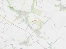 Dražba lesa, Horní Dunajovice, 245 m2