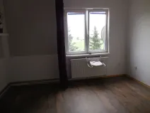 Pronájem bytu 1+1, Zabrušany, 45 m2