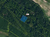 Dražba lesa, Hluboké Mašůvky, 504 m2