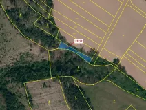 Dražba louky, Čikov, 510 m2