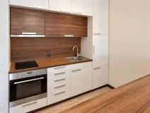 Pronájem bytu 1+kk, Olomouc, Janského, 32 m2