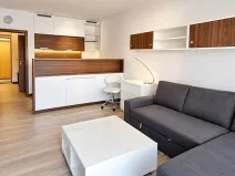 Pronájem bytu 1+kk, Olomouc, Janského, 32 m2