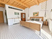 Pronájem bytu 1+kk, Černiv, 28 m2