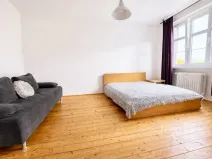 Prodej bytu 1+1, Ústí nad Labem - Klíše, Palachova, 47 m2