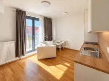 Pronájem bytu 1+kk, Praha - Radlice, Na Farkáně I, 28 m2