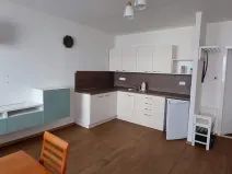 Pronájem bytu 1+kk, Ústí nad Labem, Neštěmická, 31 m2
