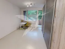 Pronájem bytu 3+1, Plzeň, Sokolovská, 80 m2