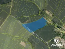 Prodej podílu pole, Prusice, 25942 m2