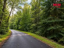Prodej pozemku, Stará Voda - Vysoká, 17561 m2