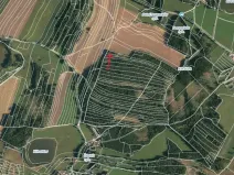 Prodej lesa, Strmilov, 1644 m2