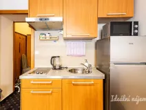 Pronájem bytu 1+kk, Praha - Nusle, Slavojova, 26 m2