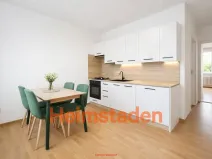 Pronájem bytu 1+1, Frýdek-Místek - Místek, Anenská, 33 m2