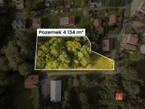 Prodej komerčního pozemku, Železná Ruda - Špičák, 4134 m2