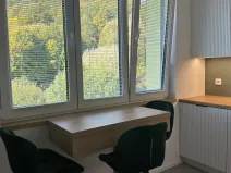 Pronájem bytu 1+1, Luhačovice, 35 m2