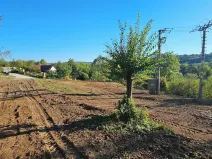 Prodej zahrady, Letovice, Pražská, 2232 m2