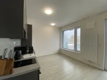 Pronájem bytu 1+kk, Praha - Holešovice, Na Maninách, 33 m2