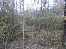 Prodej pozemku, Rozvadov, 2391 m2