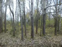 Prodej pozemku, Rozvadov, 2618 m2