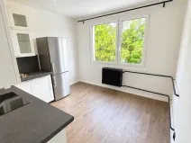 Pronájem bytu 3+1, Oselce, 64 m2