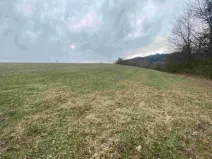Dražba louky, Mírová pod Kozákovem, 14714 m2