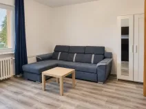 Pronájem bytu 1+1, Opava, 17. listopadu, 38 m2