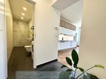 Pronájem bytu 2+kk, Praha - Žižkov, 80 m2