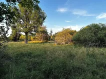 Prodej pozemku pro bydlení, Nová Ves, 1713 m2